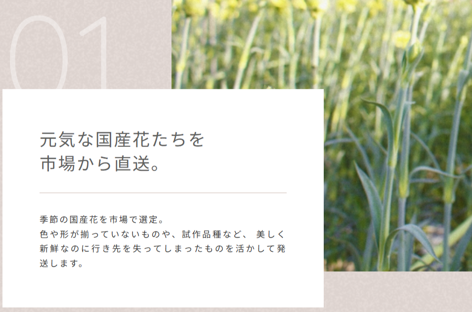 -hana（タスハナ）-花を助け、花に助けられる、花の定期便。-06-08-2025_05_37_PM