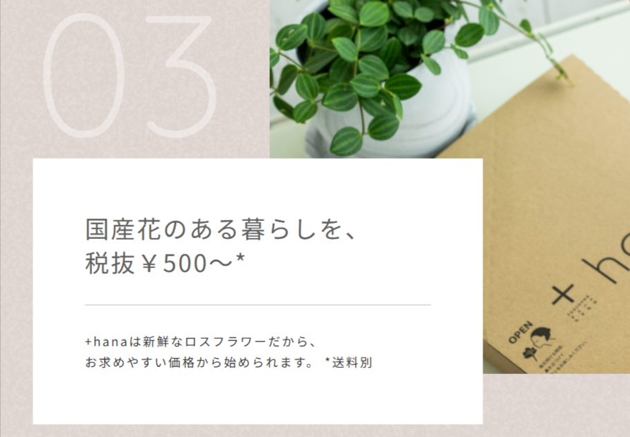 -hana（タスハナ）-花を助け、花に助けられる、花の定期便。-06-08-2025_07_02_PM (1)